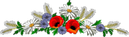 fleurs