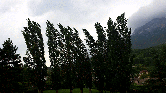 20150813_155555_1-ANIMATION
