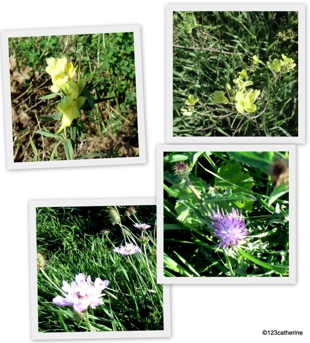 2015-09-23