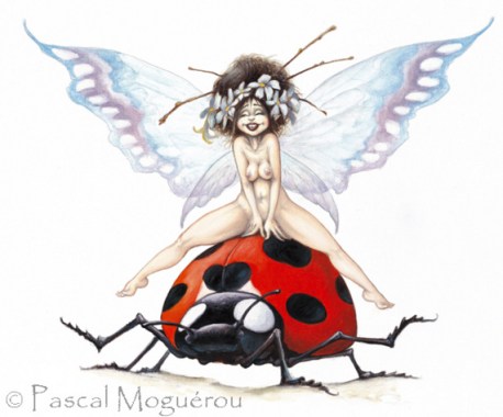 Fée de Pascal Moguérou