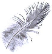 plume