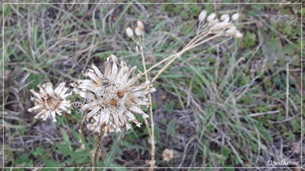 Fotor_150464194554139