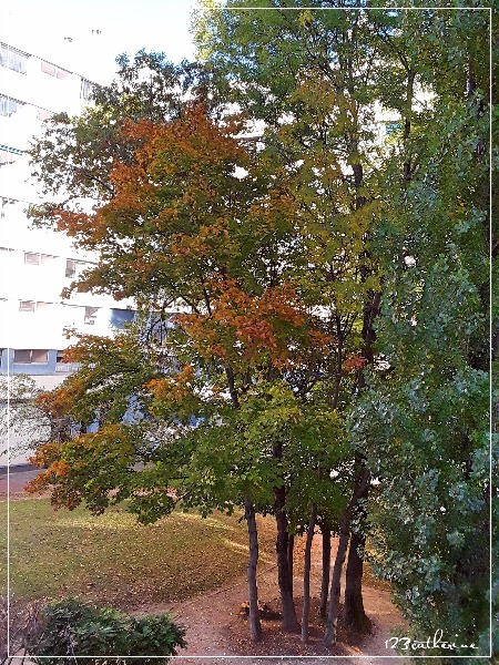 Fotor_150781416065174