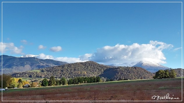 Fotor_150877408749524