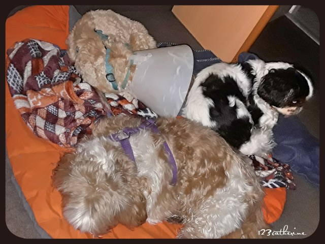 Fotor_151604629604435.jpg