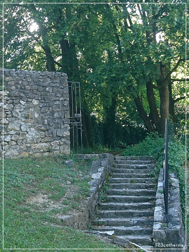 Fotor_152682664135238