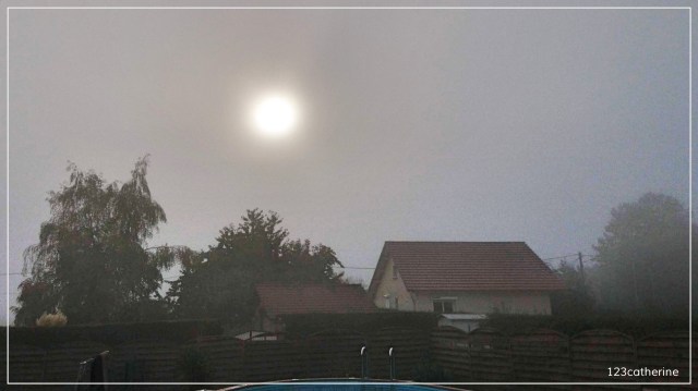 Fotor_153865897186642