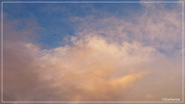 Fotor_154152395119892