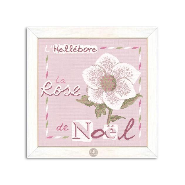 la-rose-de-noel-l